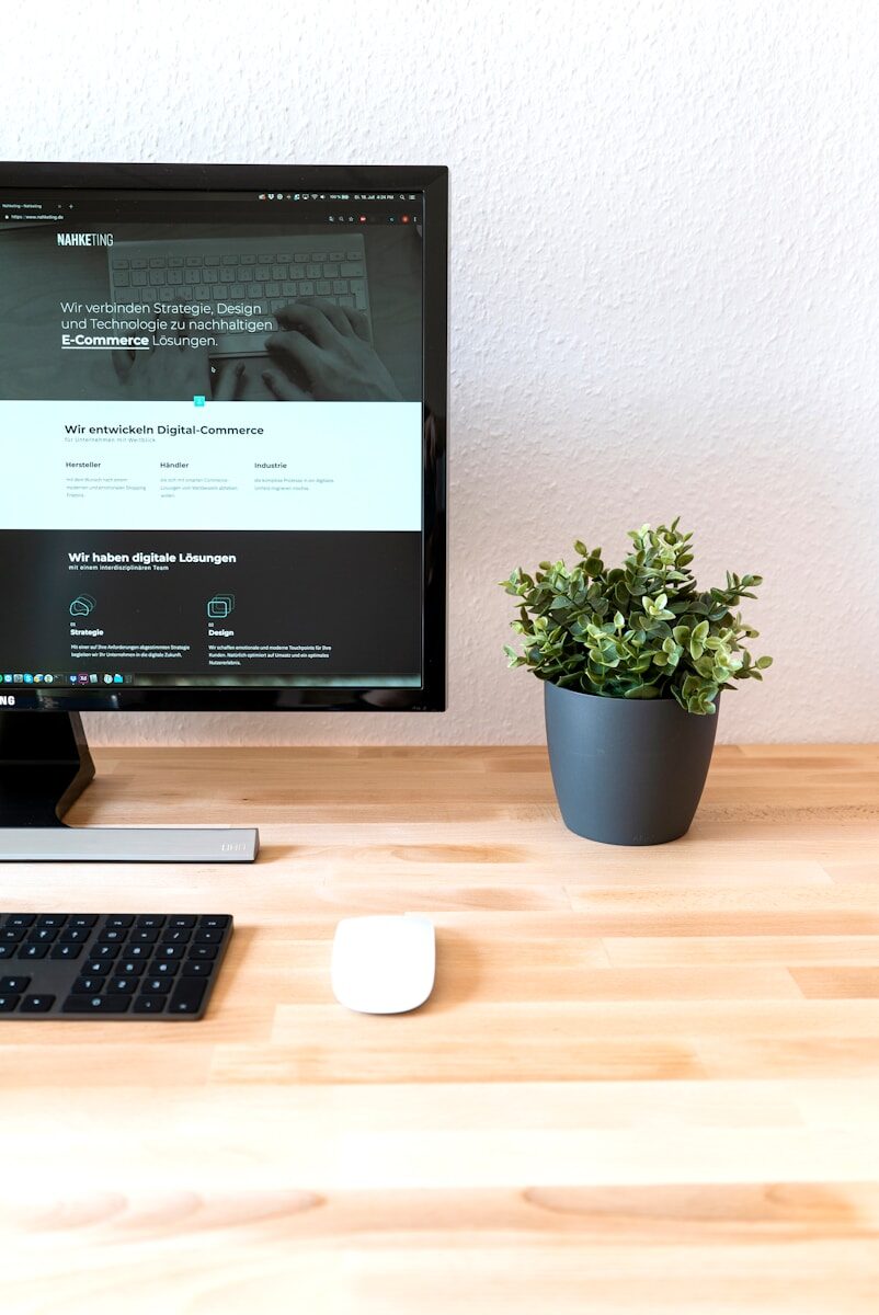 turned-on flat screen monitor beside plant